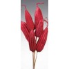JINGA Red 16"- OUT OF STOCK JINGA Red 16"- OUT OF STOCK